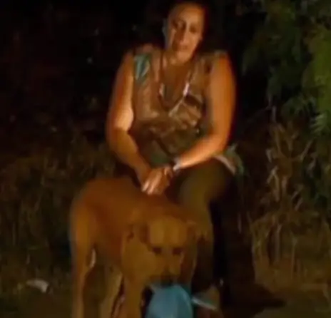 Lady takes in road dog that escapes each evening, and in the end chooses to follow her
