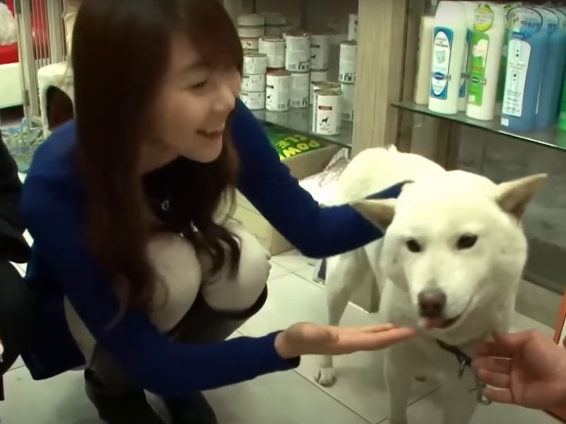 Loyal dog meets ruthless owner