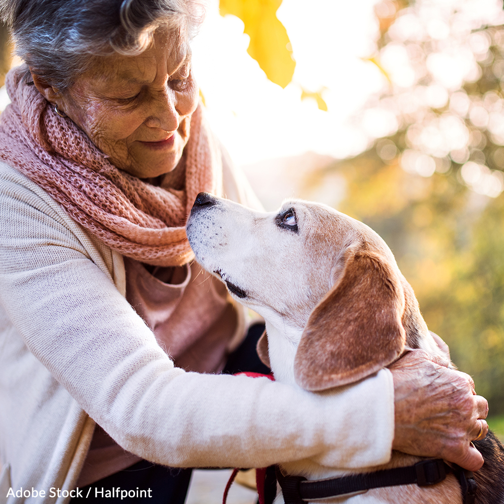 Save a Heart — Take the Heartworm Pledge