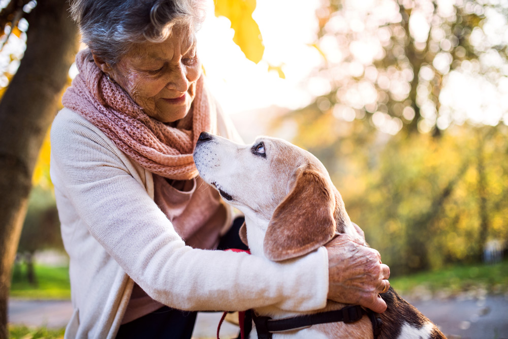 Take the pledge top protect your pet and others from heartworm disease.