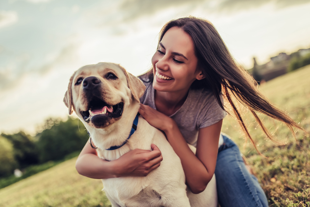 Heartworm treatment can cost as much as $2,000 for one animal.