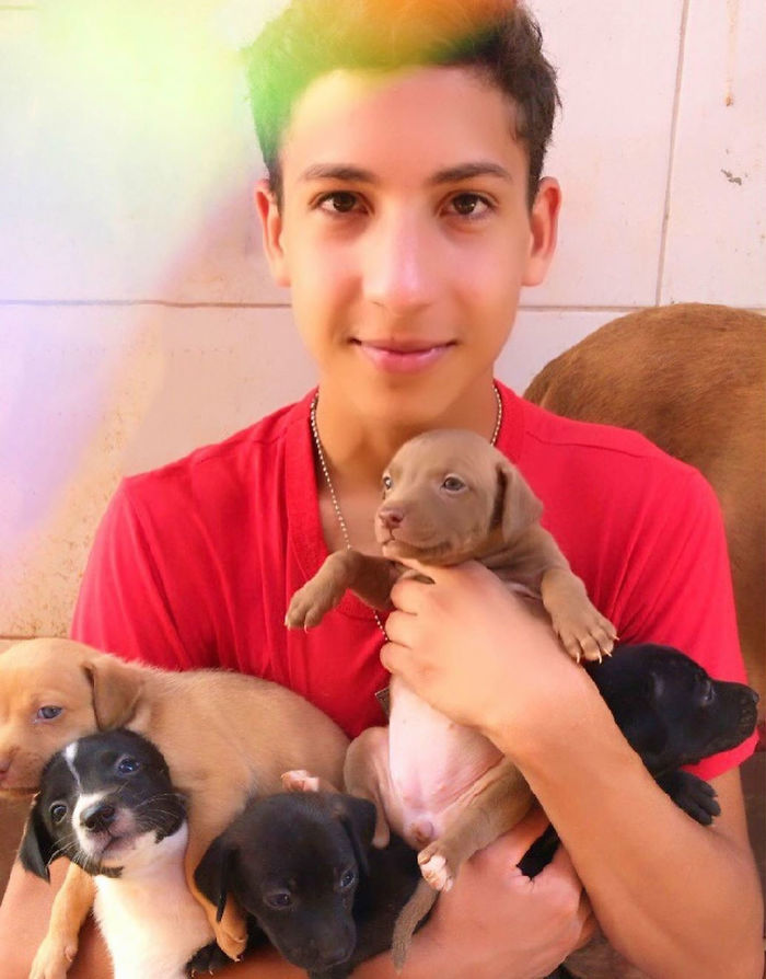 The Boy Who Rescued 22 Dogs And 4 Cats